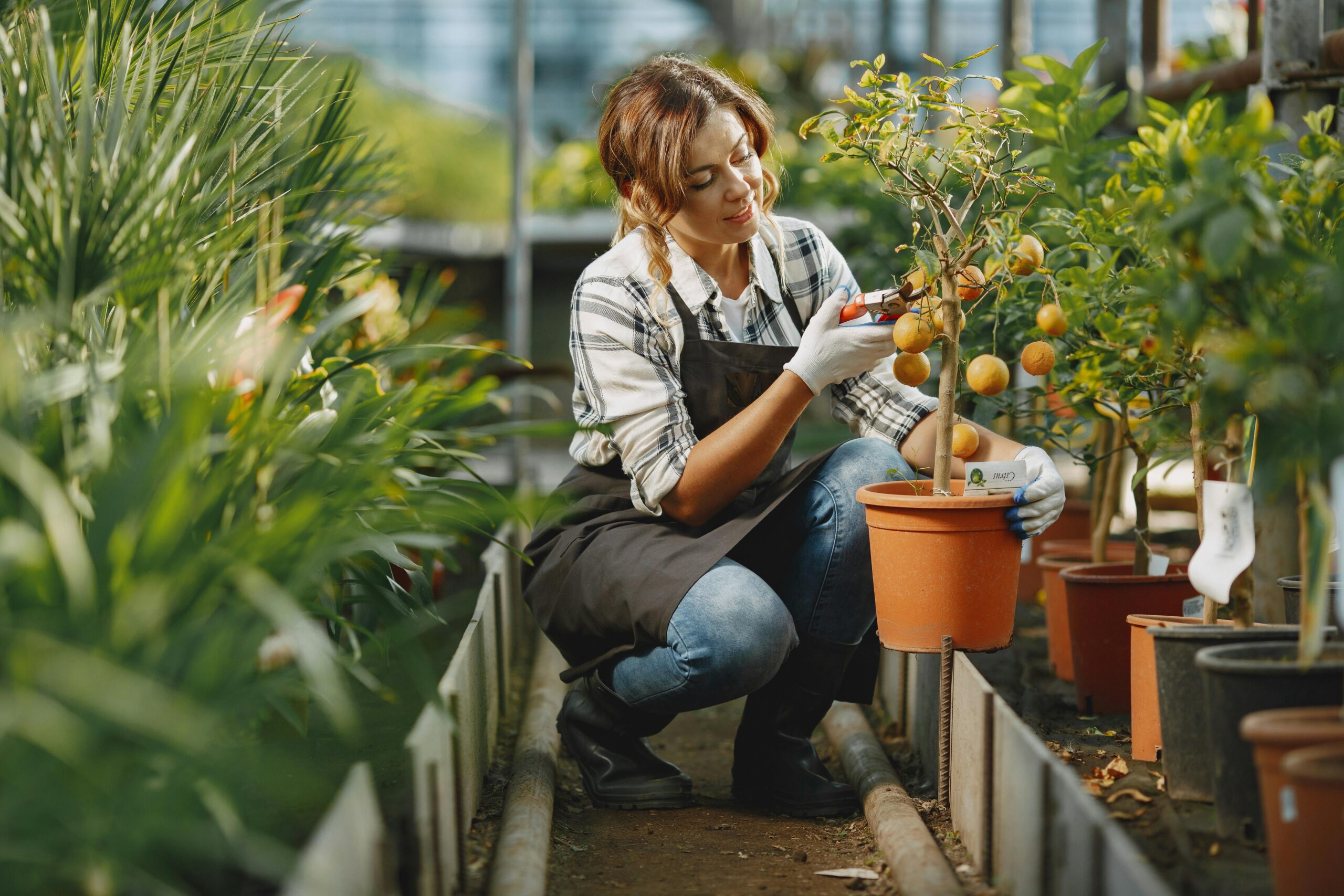 MAXIMIZING THE HARVEST – PART 2 LABOURING EFFECTIVELY FOR SOULS